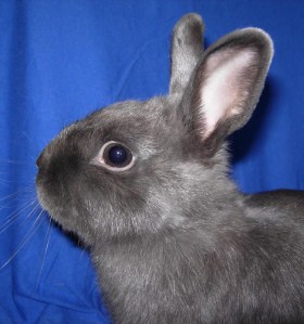 27_08_2007_112red1189352477