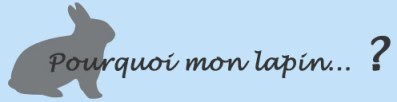 pourquoi mon lapin