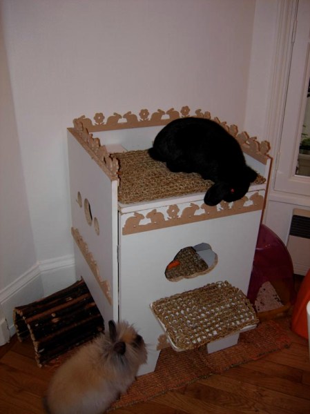 Thalia Poppée cabane