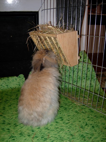 Poppée debout pour manger