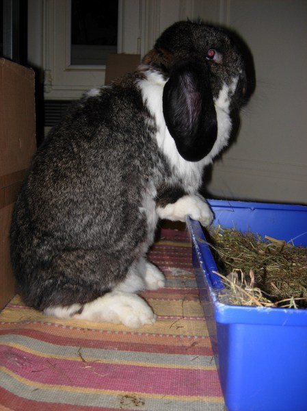 Chloé debout sans trop se fatiguer