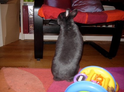 Swap debout avant de sauter