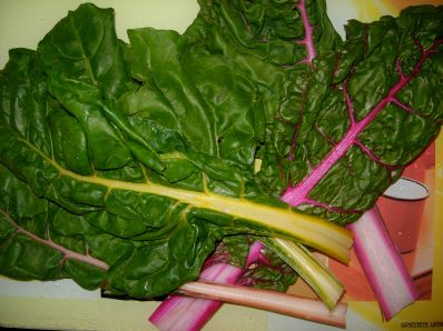 blette bette poirée 2