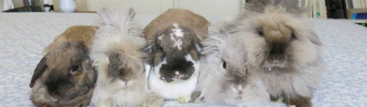 1185746_10200351579219099_843719955_n