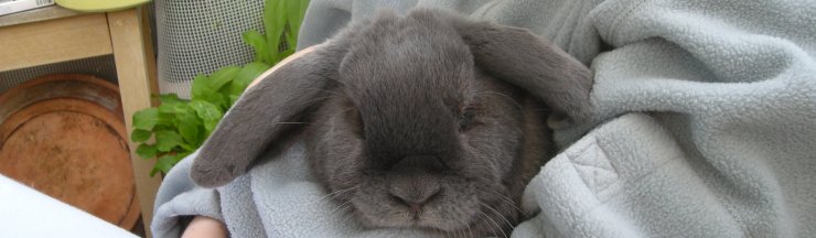 26 avril Hermes Victor et Leon 062