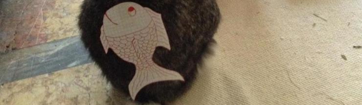 67980_4568087447242_998692373_n